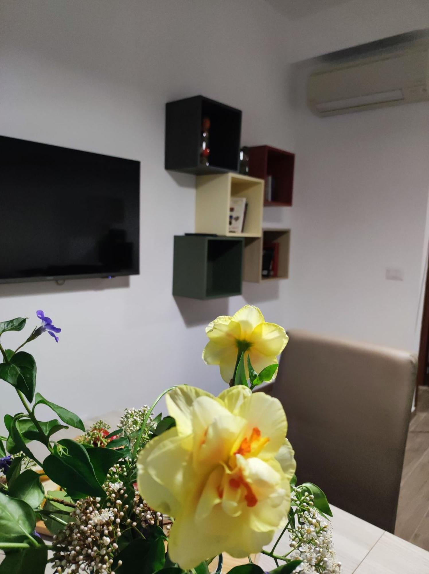Consoli Home Рим Экстерьер фото